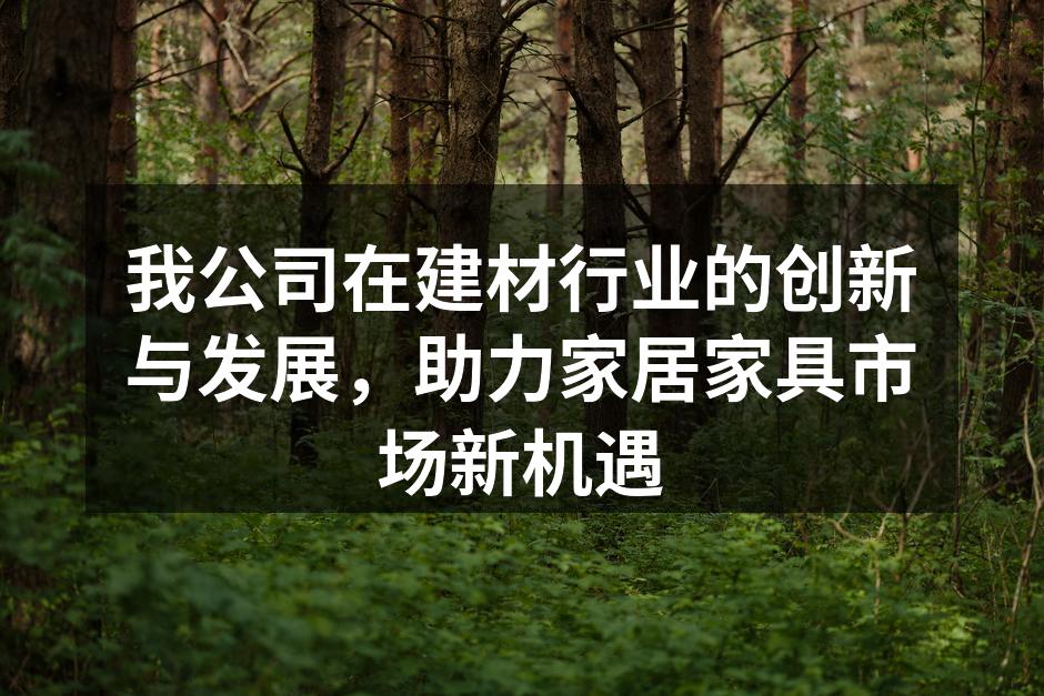 我公司在建材行业的创新与发展，助力家居家具市场新机遇