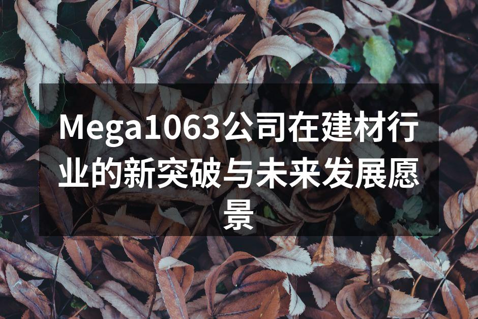 Mega1063公司在建材行业的新突破与未来发展愿景